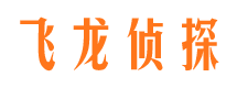 雅江侦探